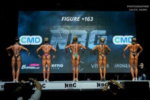 FIGURE +163